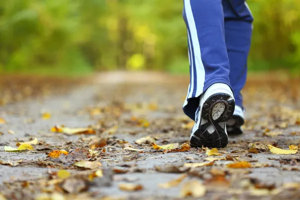 Taking a Walk